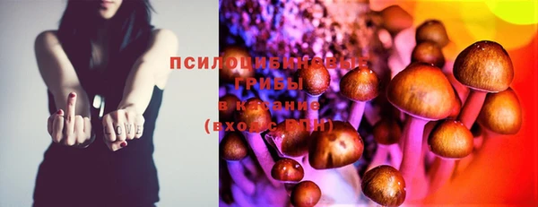 mix Алексеевка