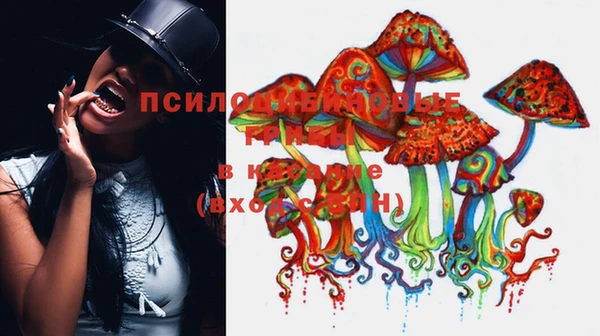 mix Алексеевка